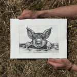 Load image into Gallery viewer, PIGLET
