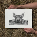 Load image into Gallery viewer, PIGLET
